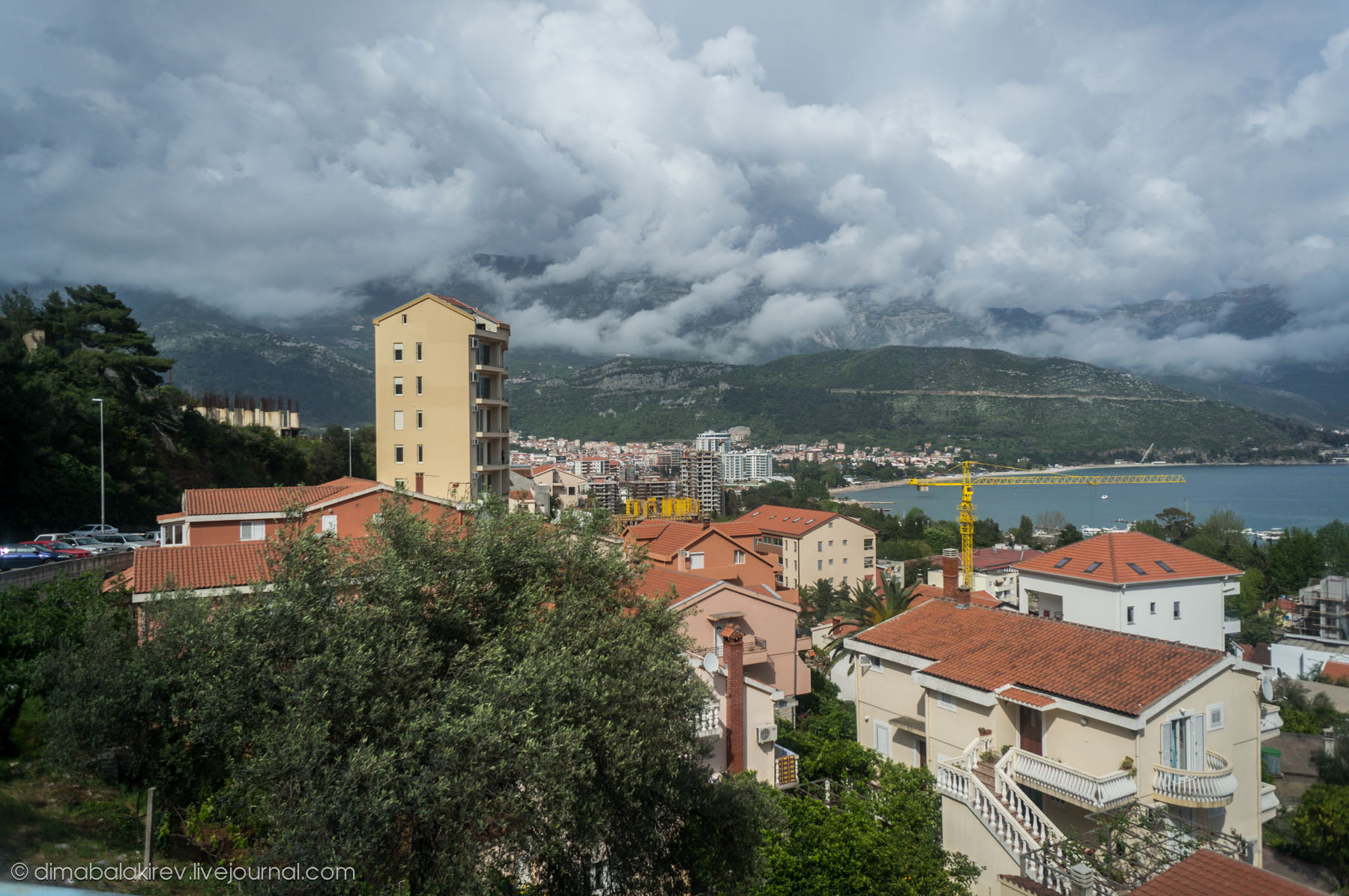 Kotor